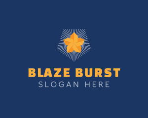 Generic Star Burst logo design