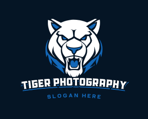 Tiger Gamer Streaming logo