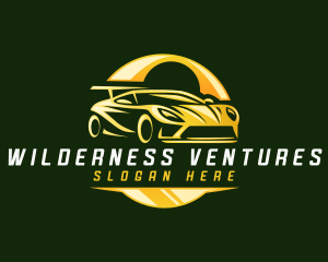 Car Luxury Detailing logo design