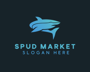 Aquatic Shark Fish logo design