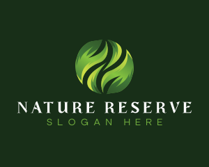 Natural Leaves Eco logo design