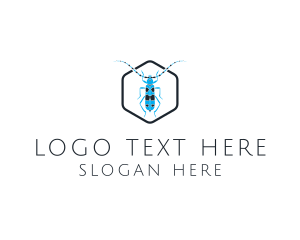 Blue Long Beetle logo