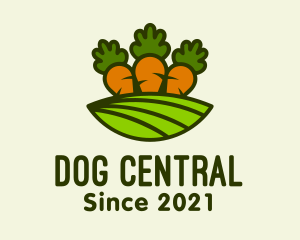 Carrot Vegetable Farm logo design