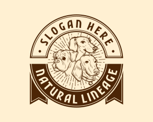 Dog Breed Veterinary logo