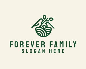 Bird Family Nest logo design