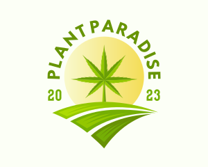 Marijuana Plant Farm logo design