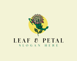 Mexico Botanical Flower logo