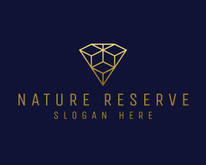 Luxury Diamond Jewelry logo design