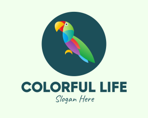 Colorful Wild Parrot logo design