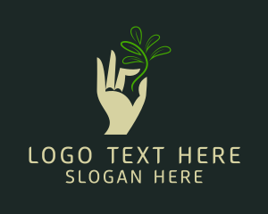 Hand Seedling Plant  logo