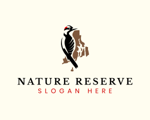 Rhode Island Woodpecker logo design