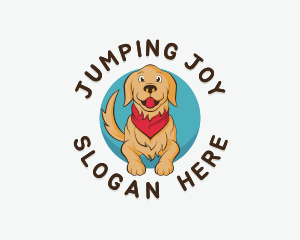 Dog Animal Veterinary  logo design