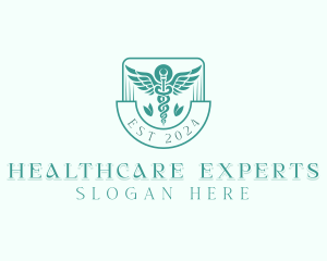 Medical Caduceus Healthcare logo design