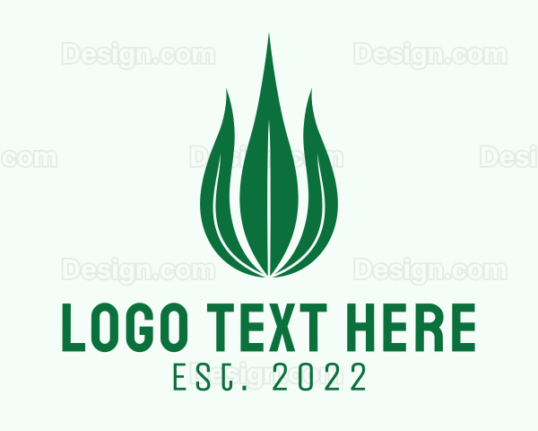 Natural Leaf Droplet Logo