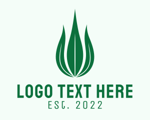 Natural Leaf Droplet logo