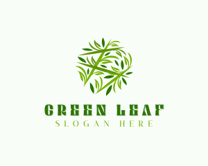 Leafy Herbal Garden logo design