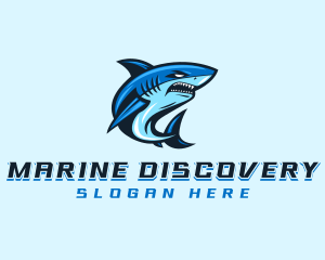 Aquatic Marine Shark logo design