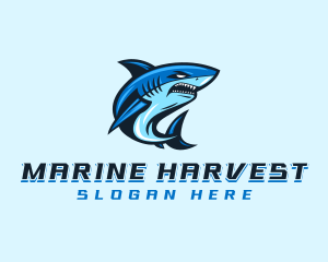 Aquatic Marine Shark logo design