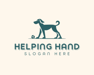 Dog Training Veterinary Logo