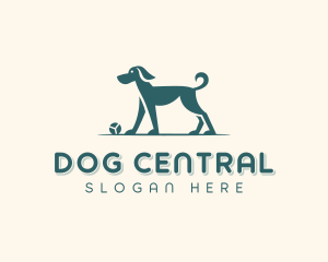 Dog Training Veterinary logo design