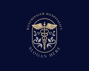 Medical Caduceus Hospital logo design