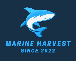 Aquatic Marine Shark  logo design