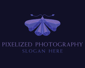  Elegant Geometric Butterfly logo design