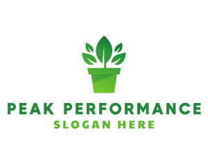 Green Leaf Pot  logo design