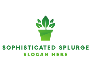 Green Leaf Pot  logo design