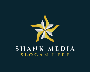 Star Entertainment Media logo design