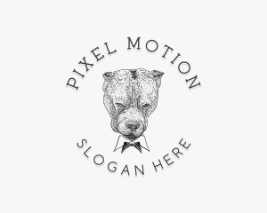 Pitbull Dog Animal logo design