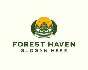 Pine Tree Forest logo design