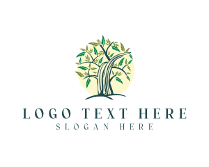 Feather Tree Nature  Logo