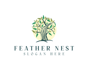 Feather Tree Nature  logo design