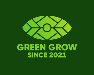 Green Environmental Eye  logo design