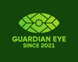 Green Environmental Eye  logo design