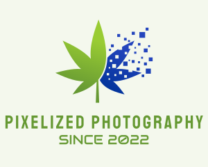 Digital Pixel Marijuana  logo design