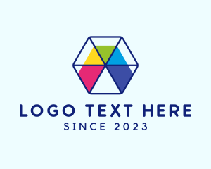 Colorful Sliced Hexagon logo