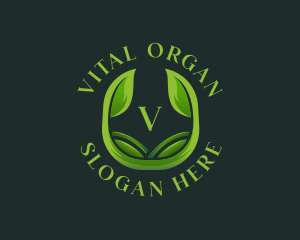 Organic Botanical Leaf logo design