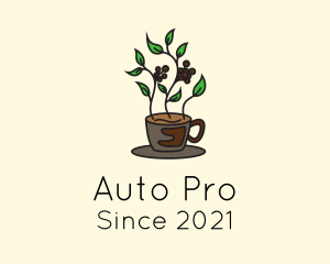 Coffee Pot Plant  logo