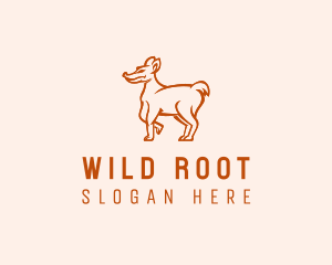 Wild Coyote Zoo logo design