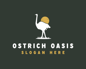 Ostrich Bird Safari logo