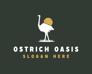 Ostrich Bird Safari logo design