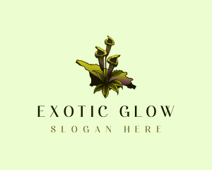 Georgia Swamp Plant logo