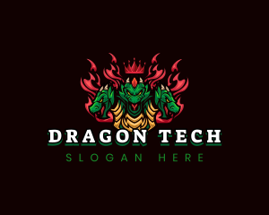 Hydra Dragon Gaming logo