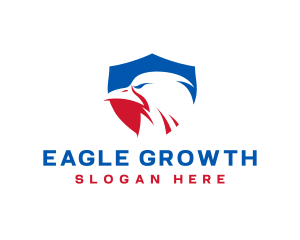 United States Eagle Shield logo design