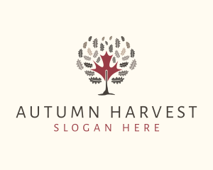 Autumn Maple Tree logo design