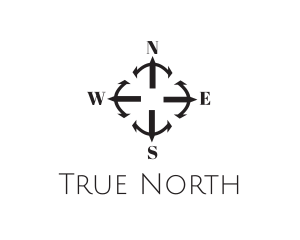 Cardinal Directions Compass logo design