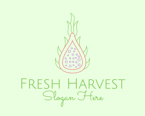 Minimalist Dragon Fruit  logo design
