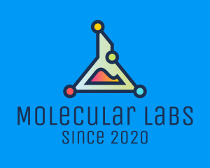 Science Research Laboratory logo